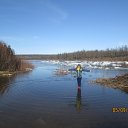 ���� �����, ��������, 49 ��� - ��������� 4 ������ 2017 � ������ ���� ����������