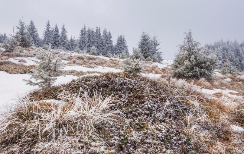 Carpathians, Ukraine - 8