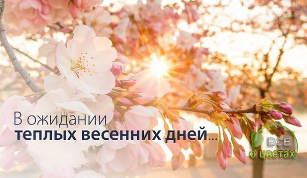 ��� � ������ - 24 ������ 2017 � 22:14