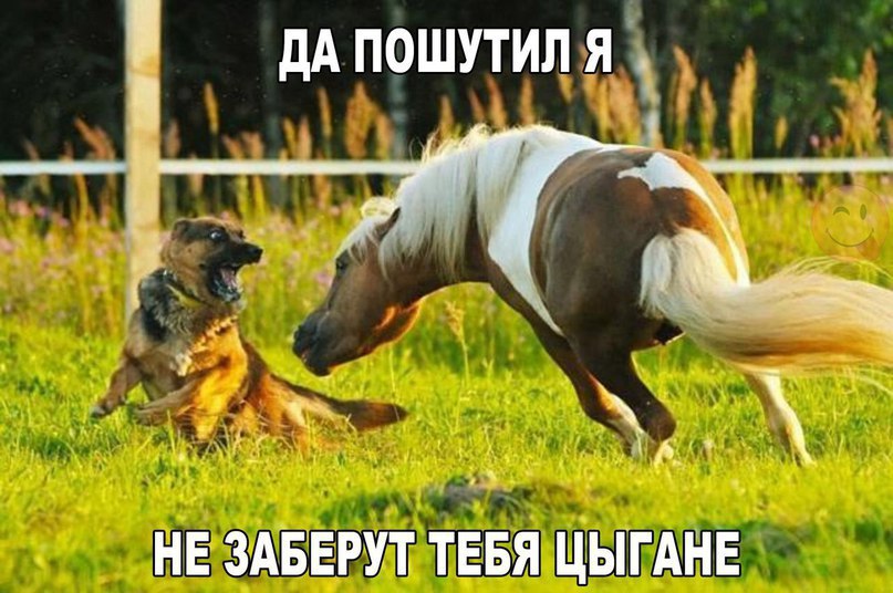    :-) - 25  2016  16:36