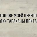 ���� ������ �����, ������ - ��������� 23 ������� 2016 � ������ ������ ��������