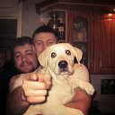 ���� ���������, ������ - ��������� 22 ����� 2017 � ������ ���� ����������