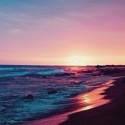 �����, �����������, 41 ���