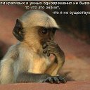 ���� ������, ������ - ��������� 5 ������� 2016 � ������ ������