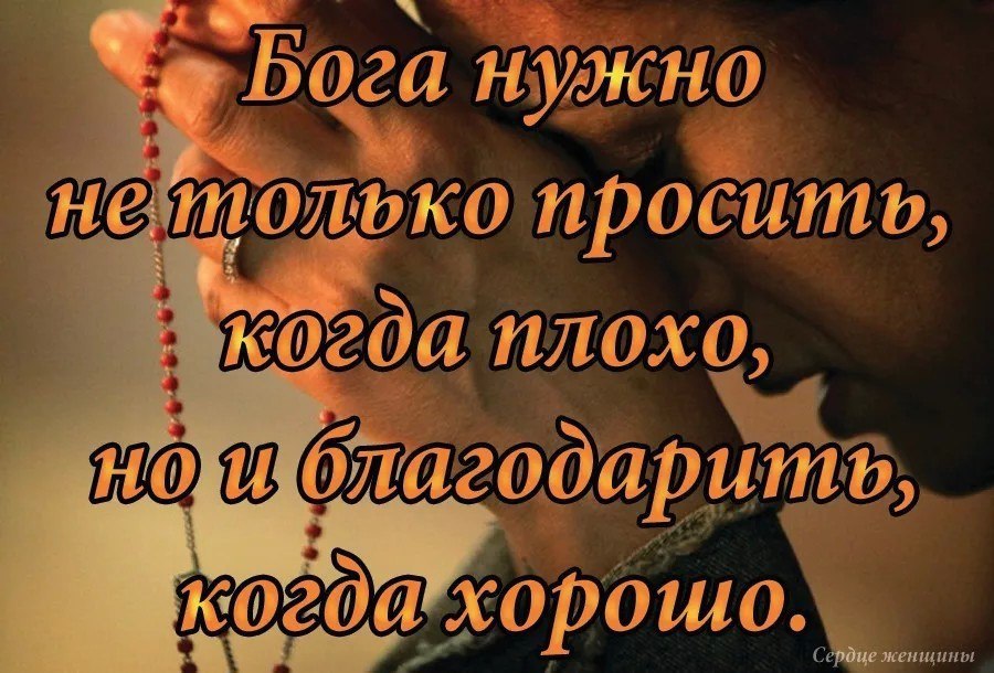   ,  ,    .   ,     ...