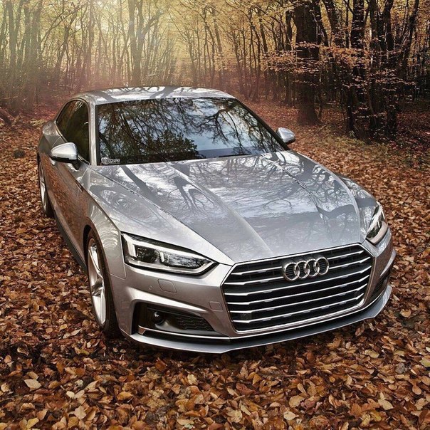    Audi A5 ?