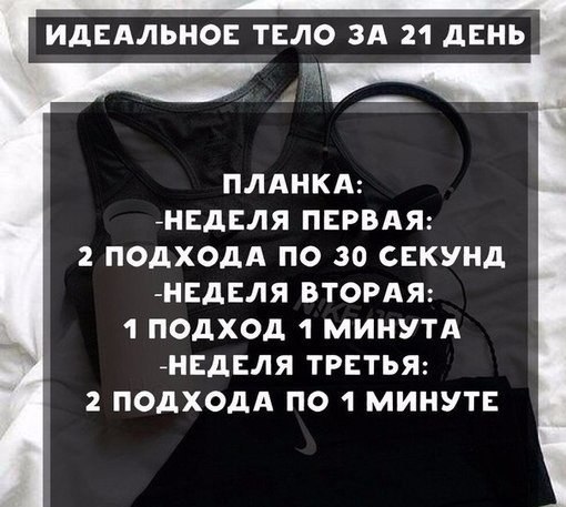    |   - 5  2017  12:13