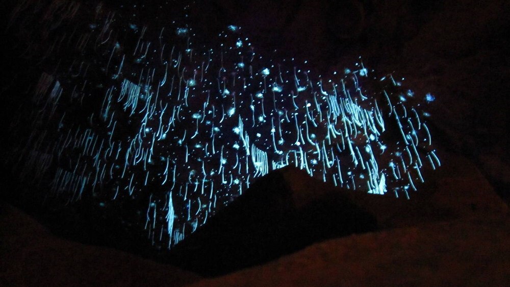 ,   .   (Waitomo Caves)     ... - 3