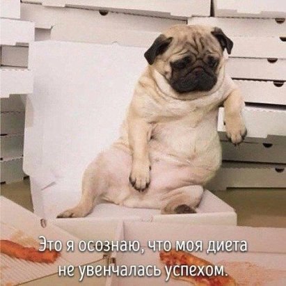 SportFeed - 8 ������ 2017 � 16:07