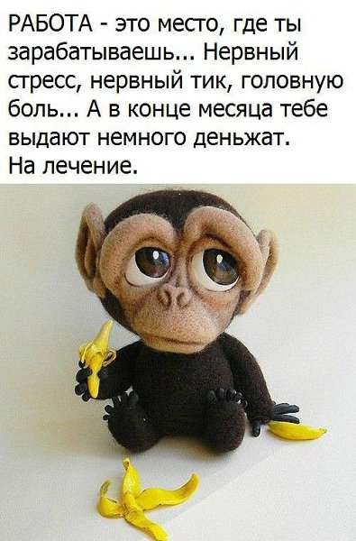 #Работа#Зарплата#Работапонайму#Начальник#Рабочий#Таблетки#Бизнес#Нетнаначальника#Нетбудильника#Мечты#Большиеденьги#АнтонинаРоманова