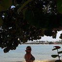 �� ����� �� ������� ����������� �������� 2016�