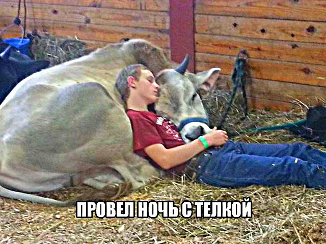 Ivan Karataev - 28  2016  09:29