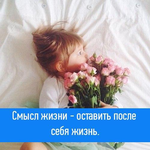  - 11  2016  21:05