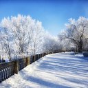 ���� ������, ����������, 49 ��� - ��������� 21 ������ 2016 � ������ ���� ����������