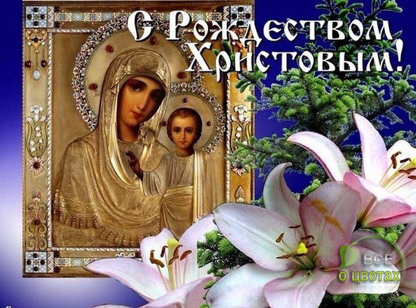 ��� � ������ - 11 ������ 2017 � 18:13
