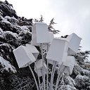  , , 60  -  3  2017     ,28.01.17.