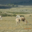 ���� �������, �����������, 49 ��� - ��������� 27 ������ 2016