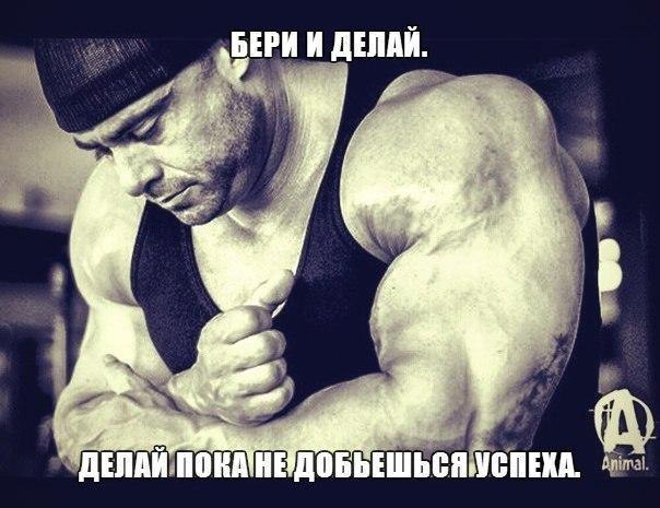  -   - 30  2017  00:33