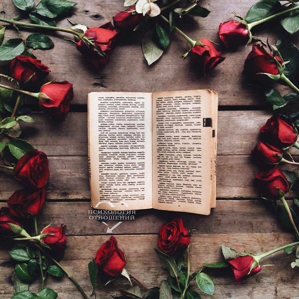 Однажды на уроке социальных проблем наш профессор поднял черную книгу и сказал эта книга красная. И ...