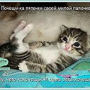 ���� ������, �������-���������, 69 ��� - ��������� 25 ����� 2017 � ������ ������ ��������
