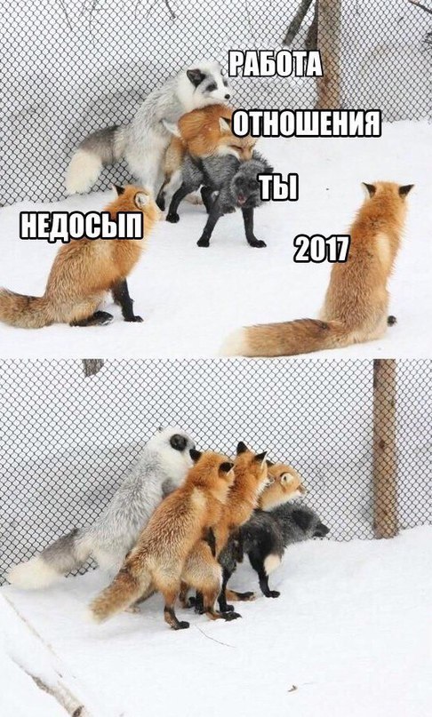    :-) - 22  2016  08:03