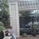 ���� �����, ���� - ��������� 7 ������� 2016 � ������ ���� ����������