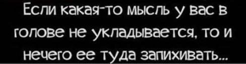     , , 51  -  28  2017    
