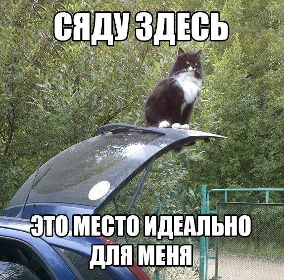 ��� �������� �������� - 11 �������� 2016 � 23:18