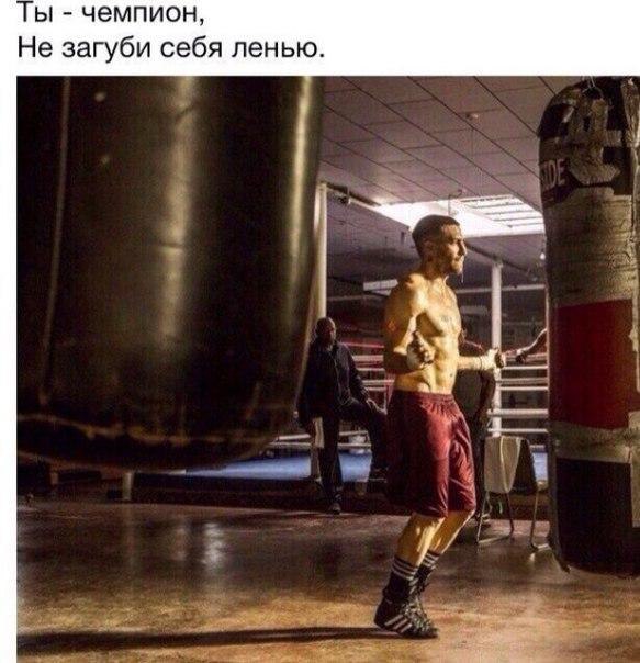  -   - 27  2016  02:54
