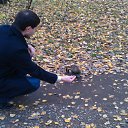 ���� ������, ������, 46 ��� - ��������� 27 ������ 2016 � ������ ���� ����������