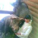 ���� ������, ������ �����, 57 ��� - ��������� 28 ������� 2016 � ������ ���� ����������