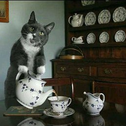 ����, �������, 48 ���