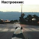 ���� Mihail, �����-���������, 38 ��� - ��������� 29 ������ 2017