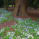 ���� Lana, ������, 54 ���� - ��������� 1 ������ 2017 � ������ �Timeline Photos�