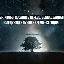 ���� �������, ���������, 30 ��� - ��������� 5 ����� 2017 � ������ ������ ��������