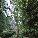  , , 60  -  26  2017   ,21.01.17. &quot;&quot;))