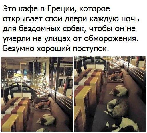 ...����� � ���� ���� ��� ����� ������ ������ �����
