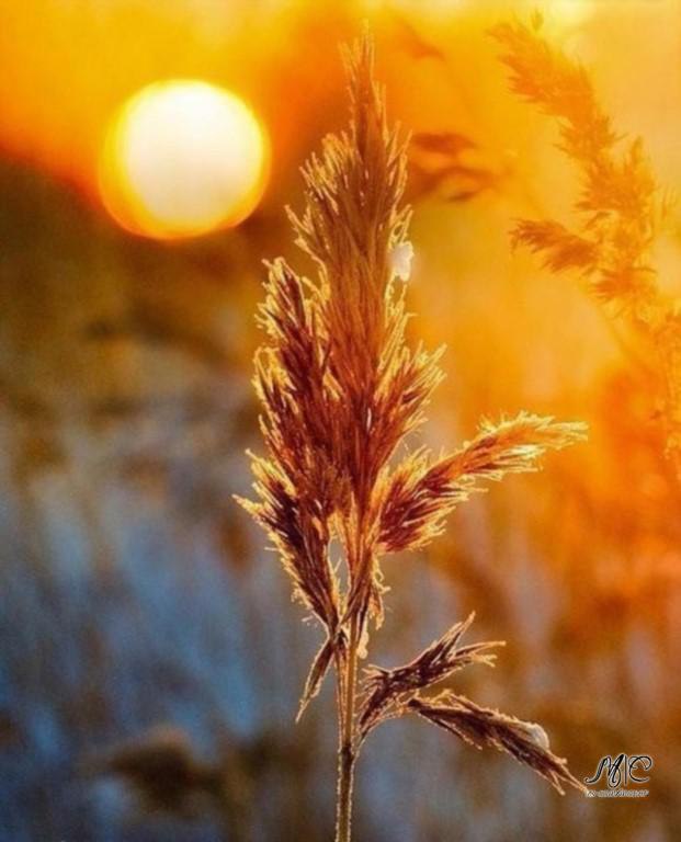 ������ ���������� ����: ������ �����, ������� ������, ���� ���� ����� � �� ��������!.. � ������� ... - 5