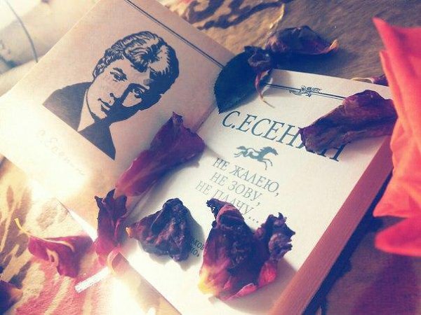 — Ревность - ужасное чувство, но, испытывая его, мы понимаем, как сильно любим. .С.Есенин