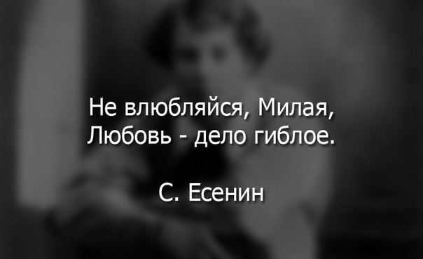  | ,  - 31  2016  00:27