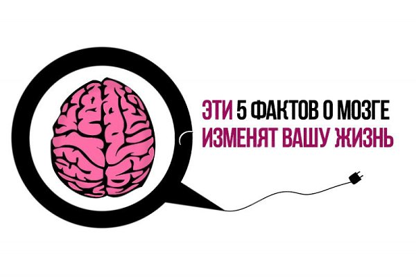 Эти 5 фактов о мозге изменят вашу жизнь.1. Мозг не видит разницы между реальностью и ...