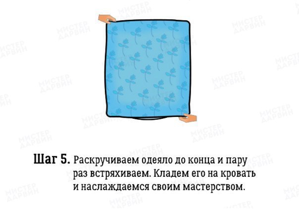  :       - 6