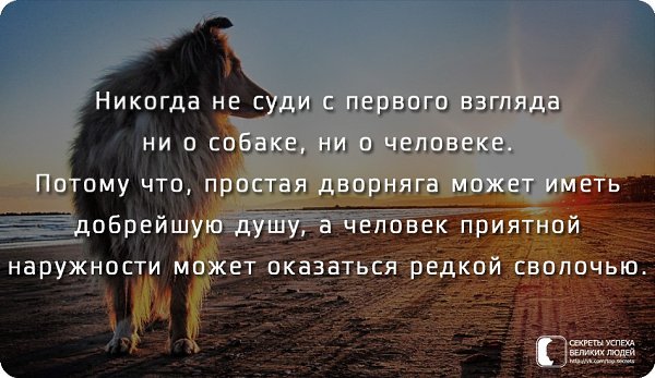     - 13  2017  21:06