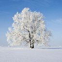  ,  -  10  2016    
