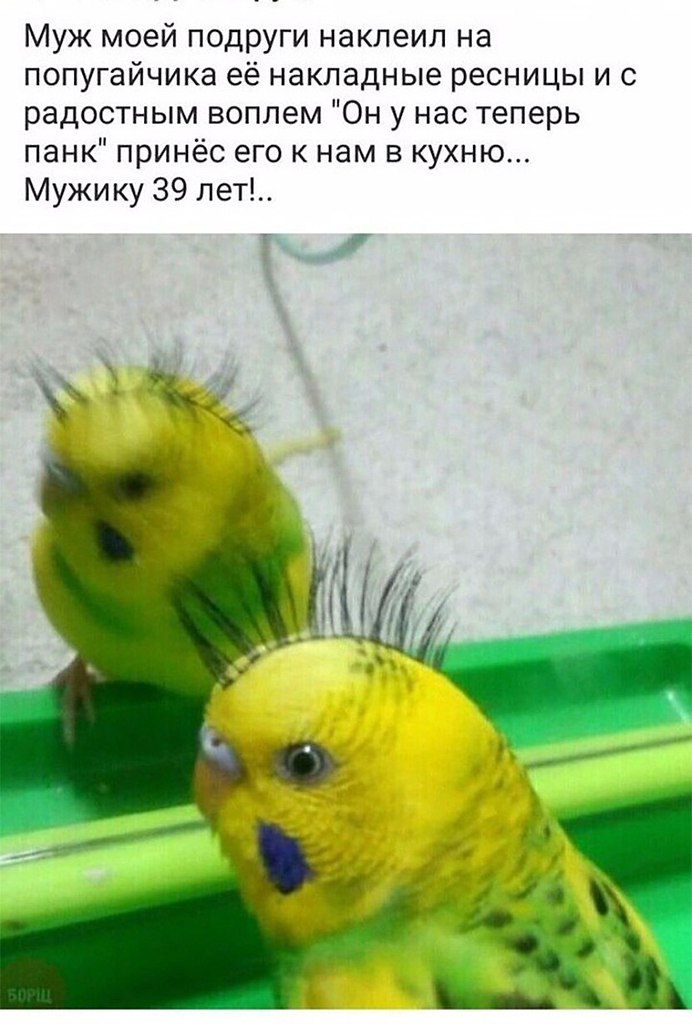  - 16  2017  14:14