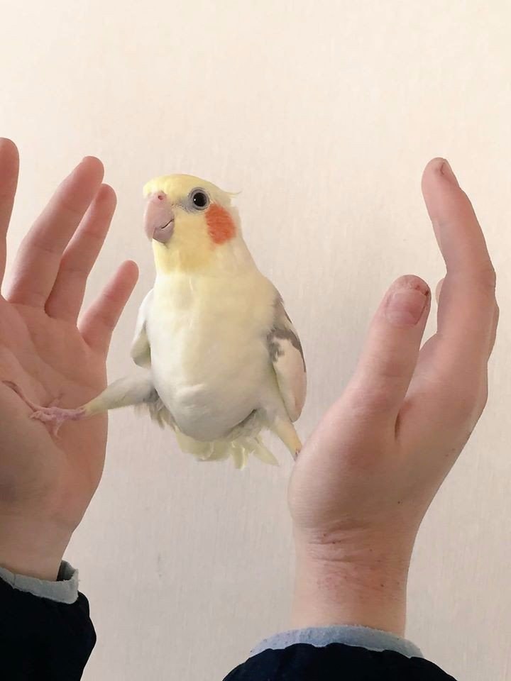 -  
