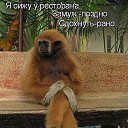 ���� �����, �������, 55 ��� - ��������� 12 ������� 2016 � ������ ������ ��������