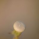  , --, 44  -  20  2016    - 2015