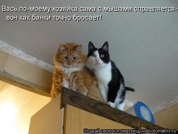 Comedy Club - 20  2017  08:21