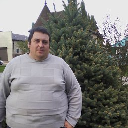 ������, �������������, 44 ����